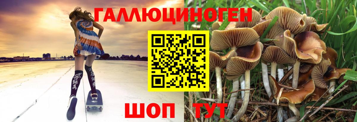 Псилоцибиновые грибы мицелий Мурино
